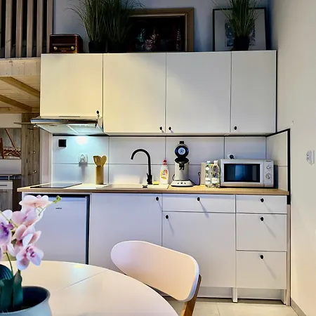 Twin Loft Small Klimatyczny Z Antresola Apartmán *