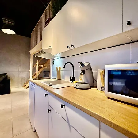 Twin Loft Small Klimatyczny Z Antresola Apartmán Ostróda