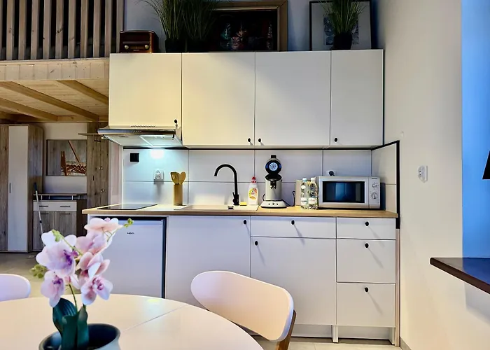 Twin Loft Small Klimatyczny Z Antresola Apartmán *